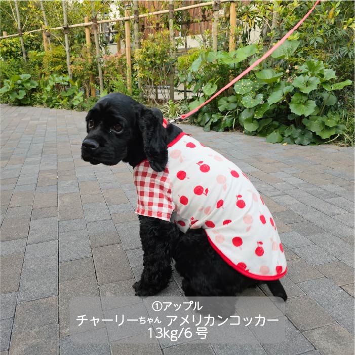 Web限定プリントTシャツ 中型犬 - VERY-PET