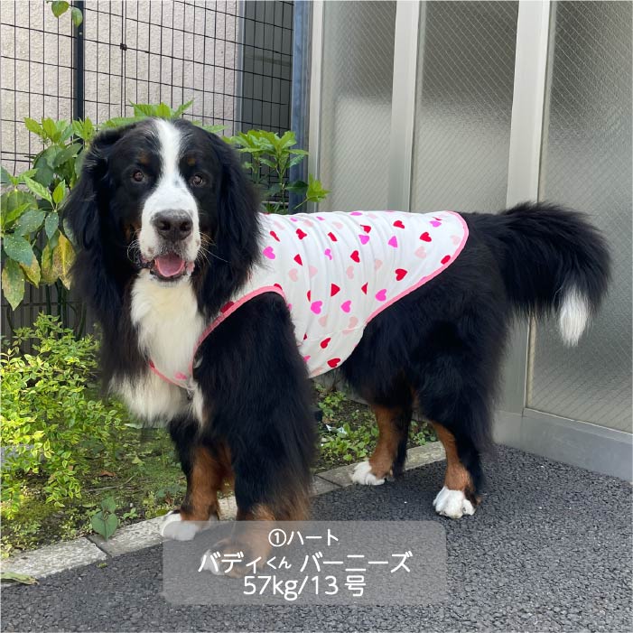 Web限定ハートプリントタンクトップ 超大型犬 - VERY-PET