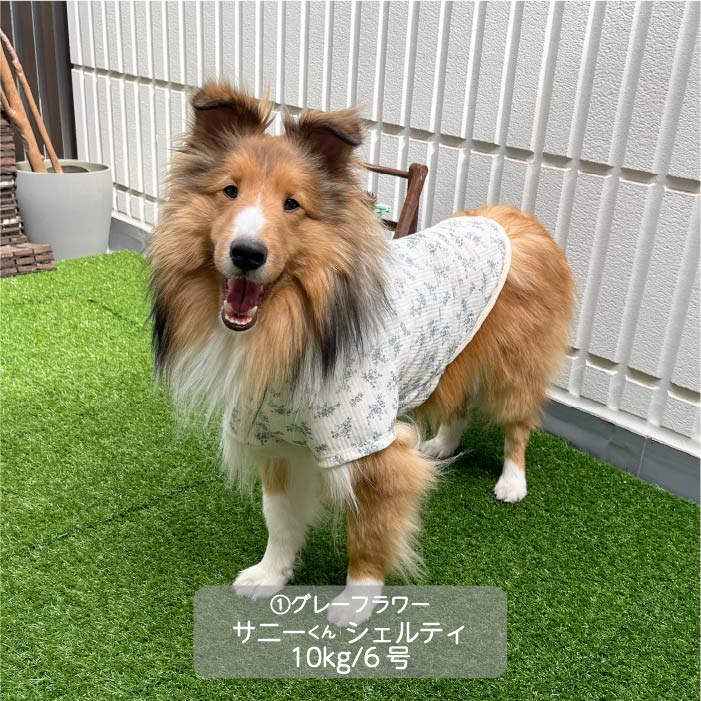 Web限定フラワープリントTシャツ 中型犬 - VERY-PET