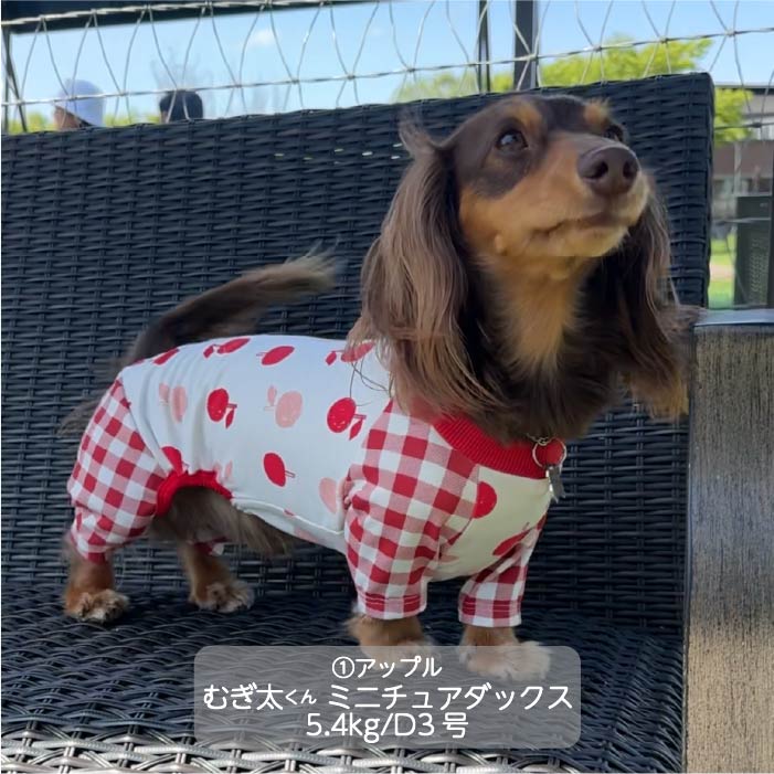 Web限定プリントカバーオール ダックス - VERY-PET