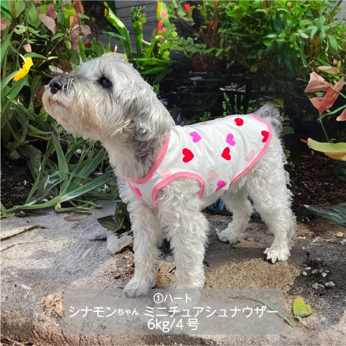 Web限定ハートプリントタンクトップ 小型犬・胴長・ダックス - VERY-PET