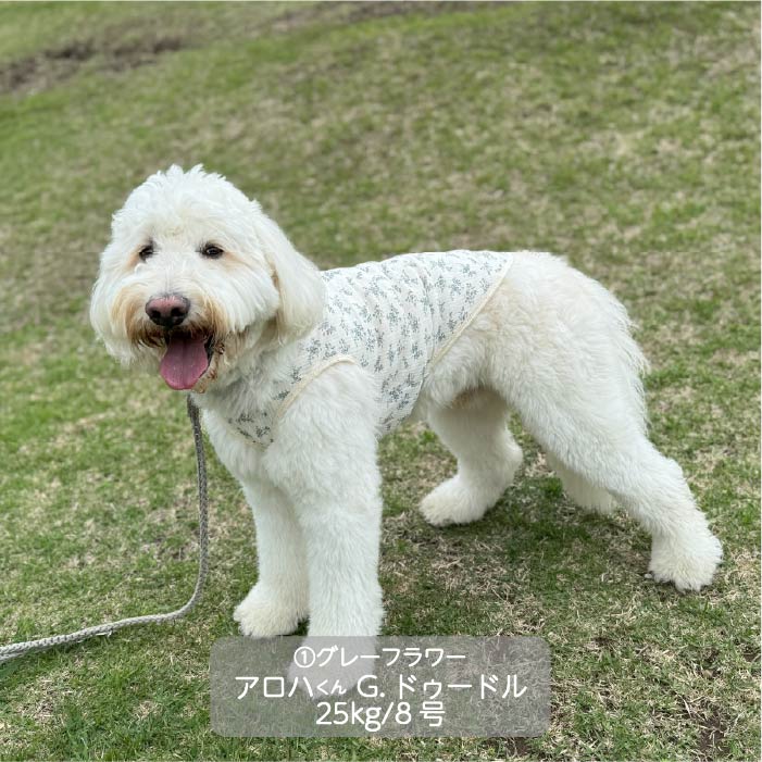 Web限定フラワープリントタンクトップ 大型犬 - VERY-PET