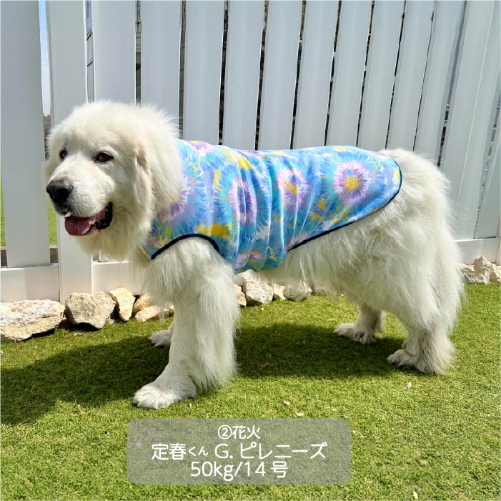 Web限定プリントタンクトップ1 超大型犬 - VERY-PET