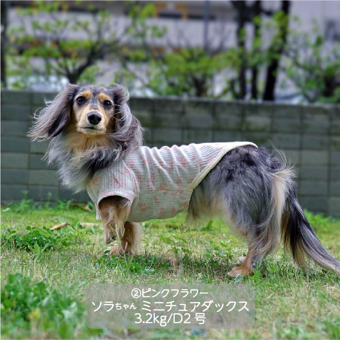 Web限定フラワープリントTシャツ 小型犬・胴長・ダックス - VERY-PET