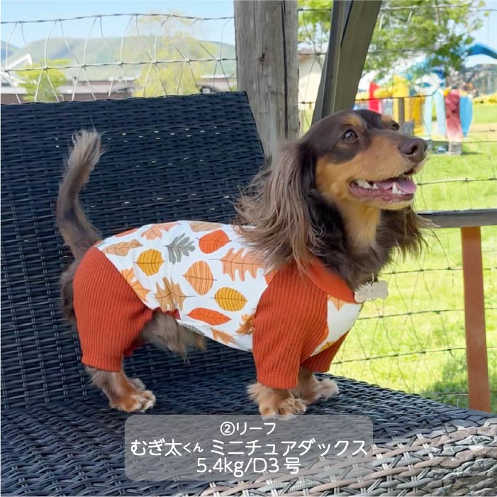 Web限定ボタニカルプリントカバーオール ダックス - VERY-PET