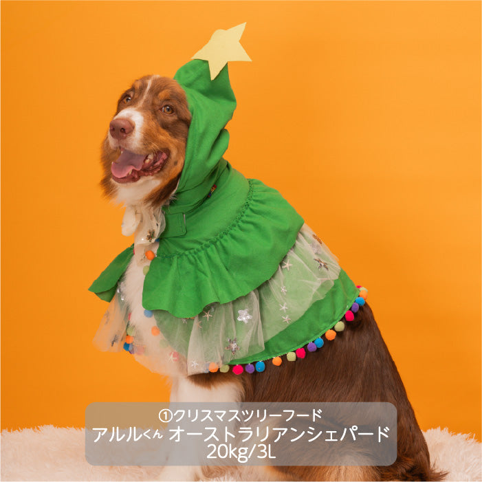 <font size="3">大型犬</font> <br>クリスマスコスチューム ツリーフード