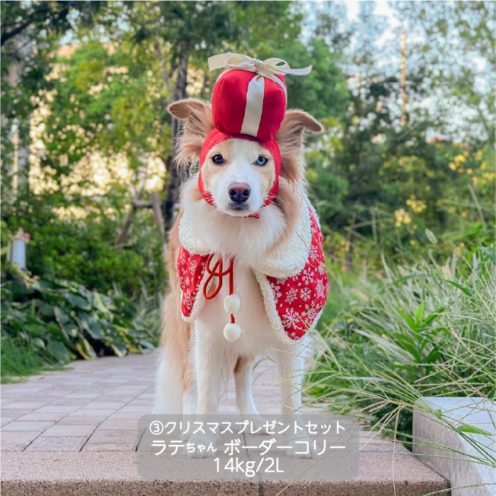 <font size="3">中型犬</font> <br>クリスマスコスチューム プレゼントセット