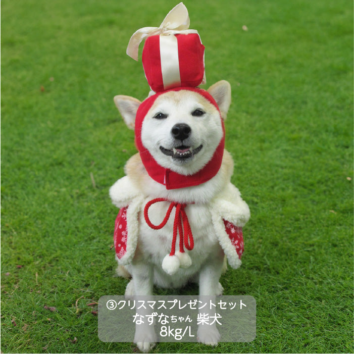 <font size="3">小型犬</font> <br>クリスマスコスチューム プレゼントセット