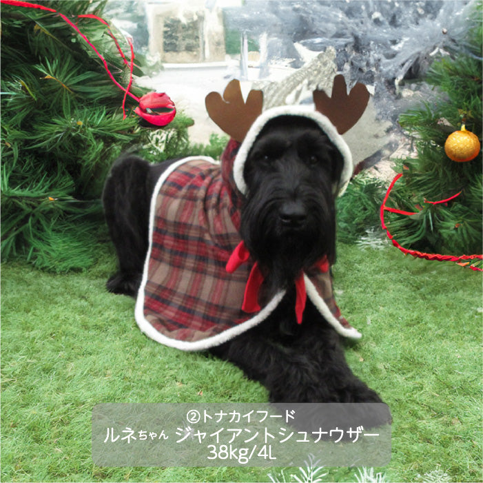 <font size="3">大型犬</font> <br>クリスマスコスチューム トナカイフード