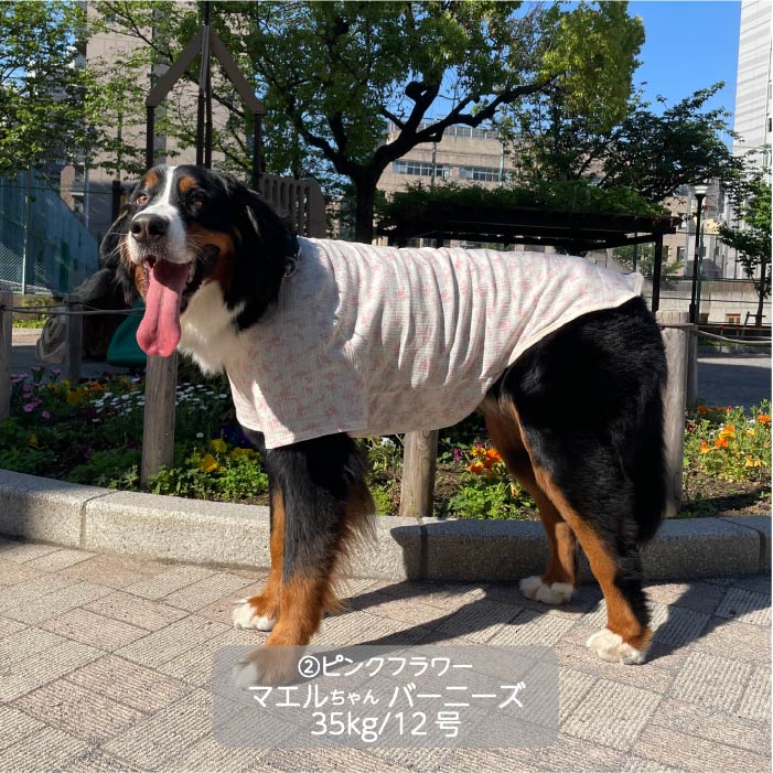 Web限定フラワープリントTシャツ 大型犬 - VERY-PET