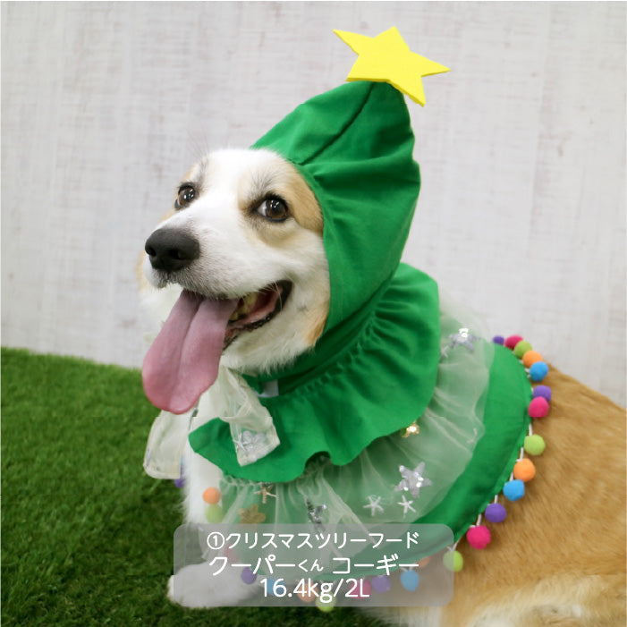 <font size="3">中型犬</font> <br>クリスマスコスチューム ツリーフード