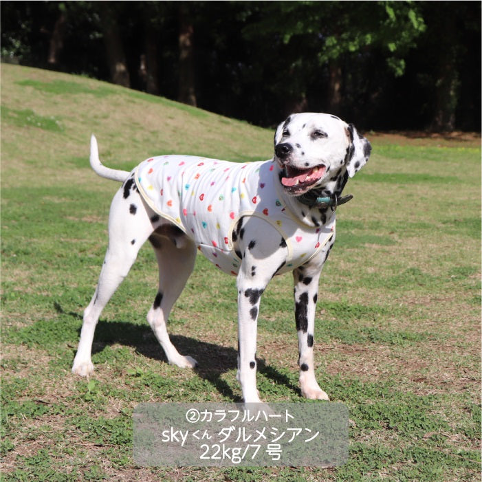 Web限定ハートプリントタンクトップ 中型犬 - VERY-PET