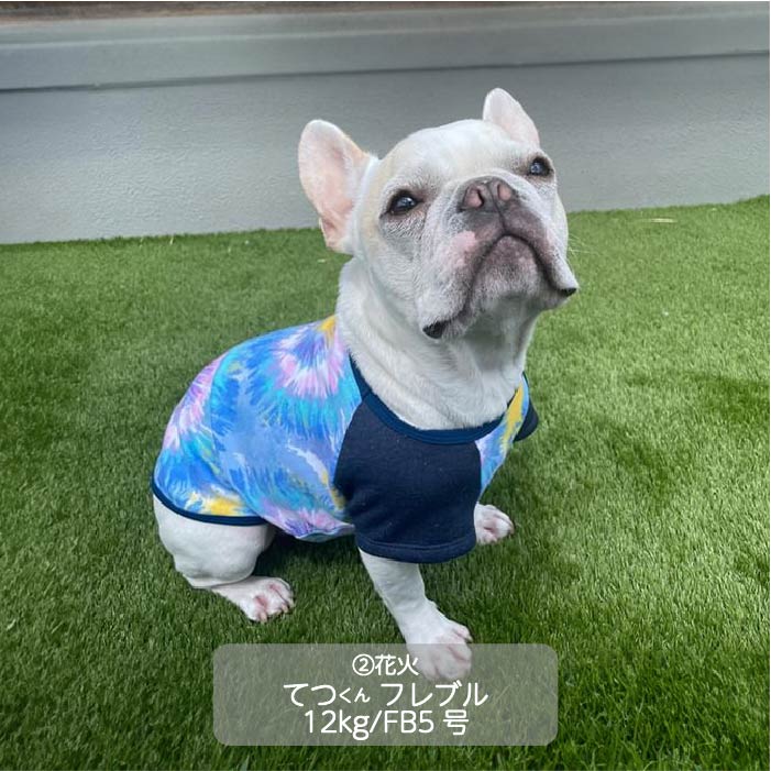 Web限定プリントTシャツ フレブル・パグ - VERY-PET