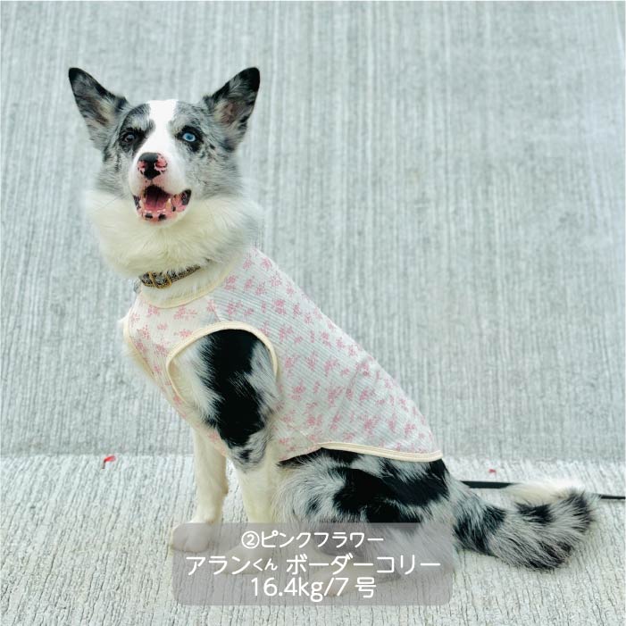 Web限定フラワープリントタンクトップ 中型犬 - VERY-PET