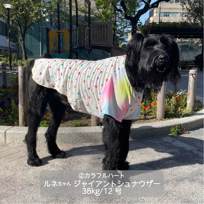 Web限定ハートプリントTシャツ 大型犬 - VERY-PET