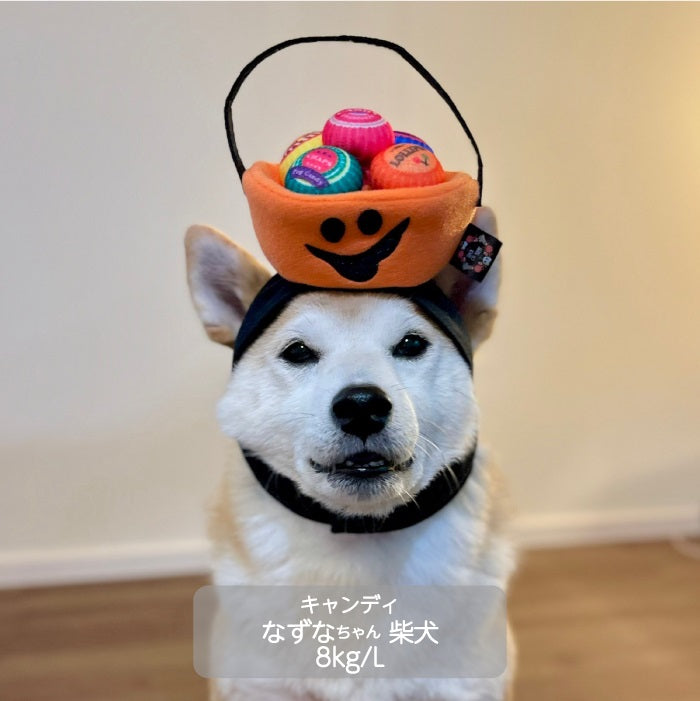 <font color="red">50％OFFセール</font><br>ハロウィン コスチューム 帽子　小型犬用 - VERY-PET