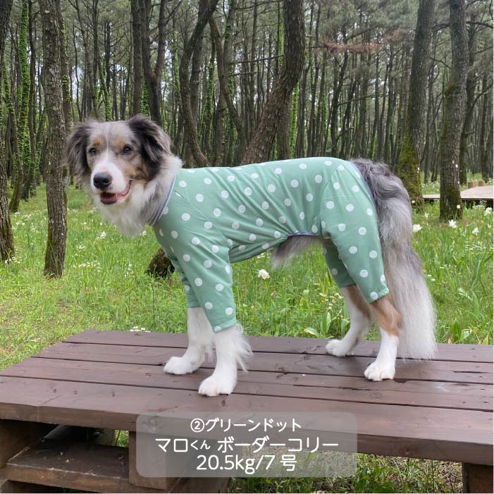 Web限定ドットプリントカバーオール 中型犬 - VERY-PET