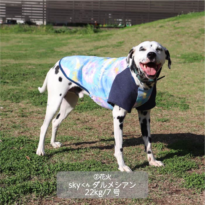 Web限定プリントTシャツ 中型犬 - VERY-PET