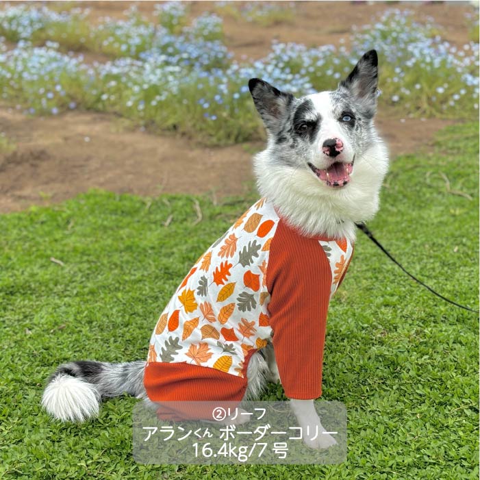 Web限定ボタニカルプリントカバーオール 中型犬 - VERY-PET