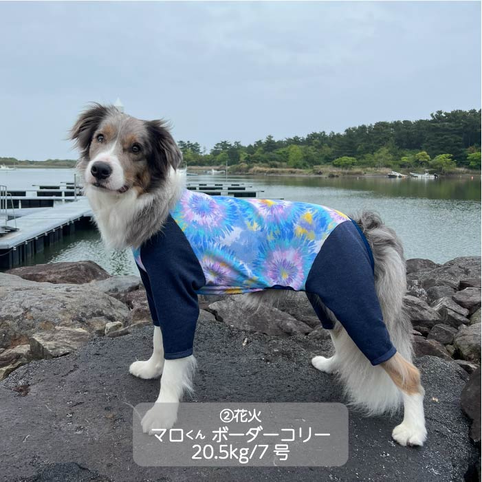 Web限定プリントカバーオール 中型犬 - VERY-PET