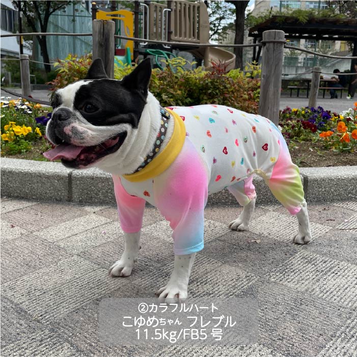 Web限定ハートプリントカバーオール フレブル・パグ - VERY-PET