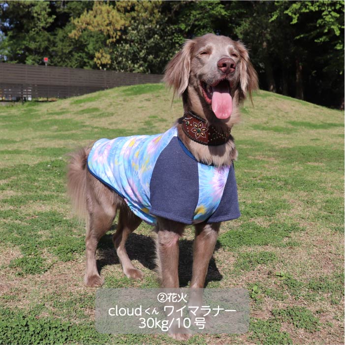 Web限定プリントTシャツ 大型犬 - VERY-PET