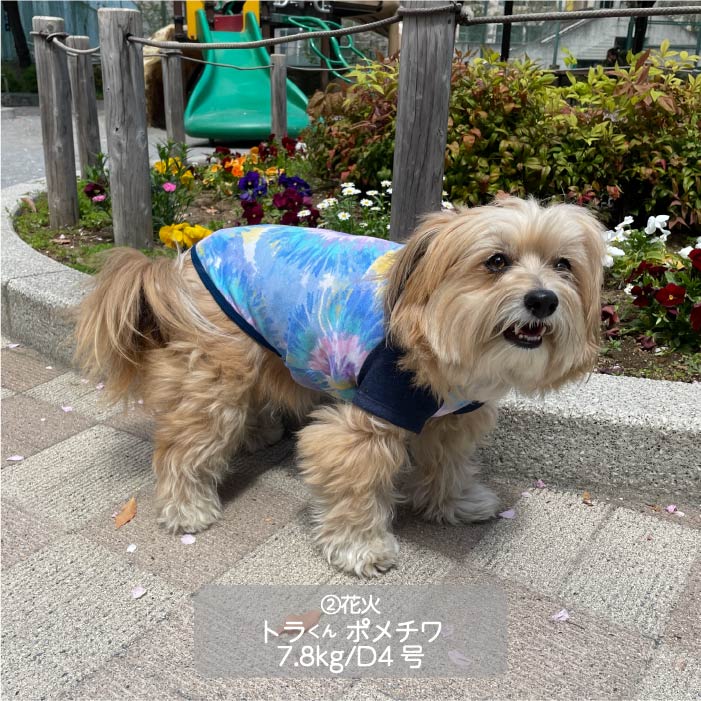 Web限定プリントTシャツ 小型犬・胴長・ダックス - VERY-PET