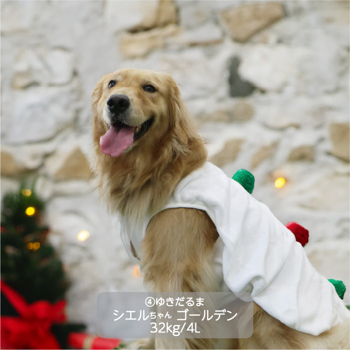 <font size="3">大型犬</font> <br>クリスマスコスチューム ゆきだるま