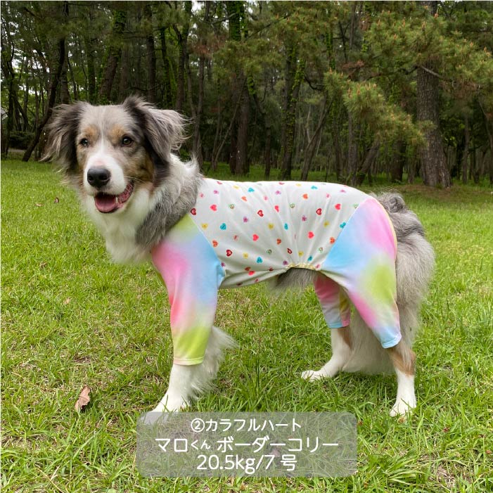 Web限定ハートプリントカバーオール 中型犬 - VERY-PET