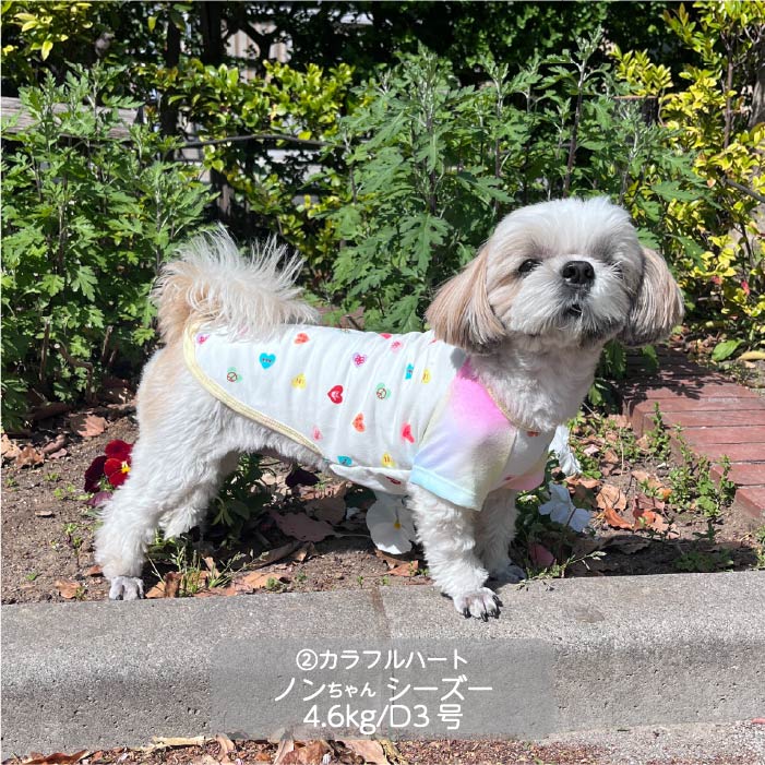 Web限定ハートプリントTシャツ 小型犬・胴長・ダックス - VERY-PET