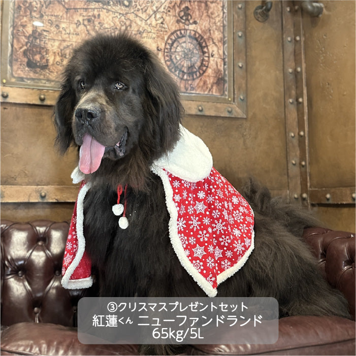 <font size="3">超大型犬</font> <br>クリスマスコスチューム プレゼントセット - VERY-PET