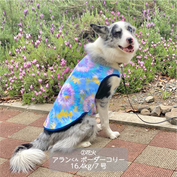 Web限定プリントタンクトップ1 中型犬 - VERY-PET