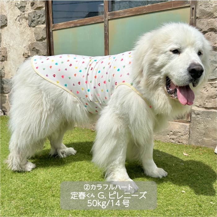 Web限定ハートプリントタンクトップ 超大型犬 - VERY-PET