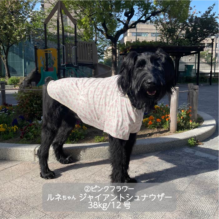 Web限定フラワープリントTシャツ 大型犬 - VERY-PET