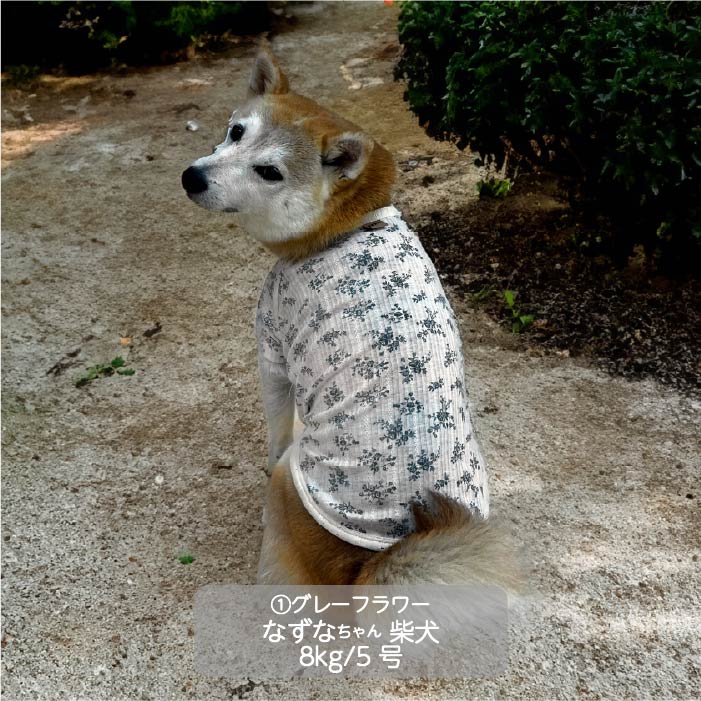 Web限定フラワープリントTシャツ 小型犬・胴長・ダックス - VERY-PET