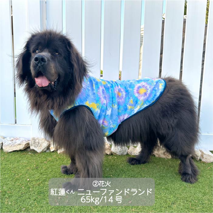 Web限定プリントタンクトップ1 超大型犬 - VERY-PET