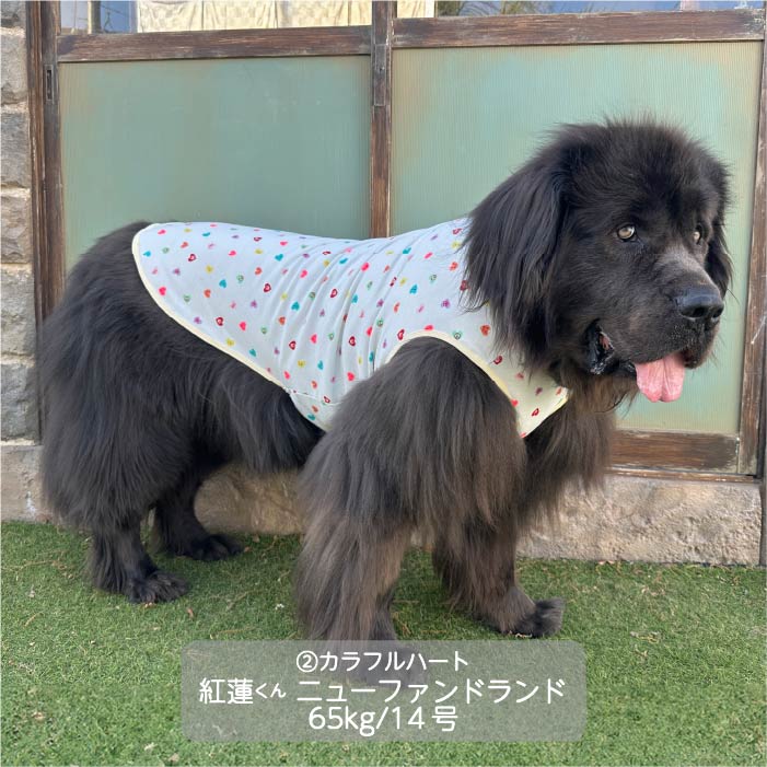 Web限定ハートプリントタンクトップ 超大型犬 - VERY-PET