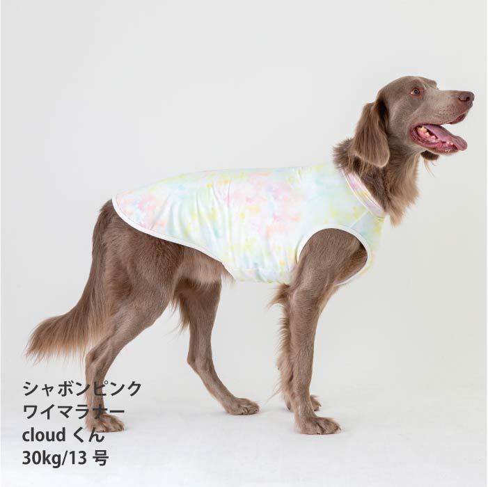 <font color="red">1点30％OFF・3点以上なら50％OFF</font><br> <font size="2">小型 ダックス 胴長 [全13size展開]</font><br>クールタンクトップ タイダイ - VERY-PET