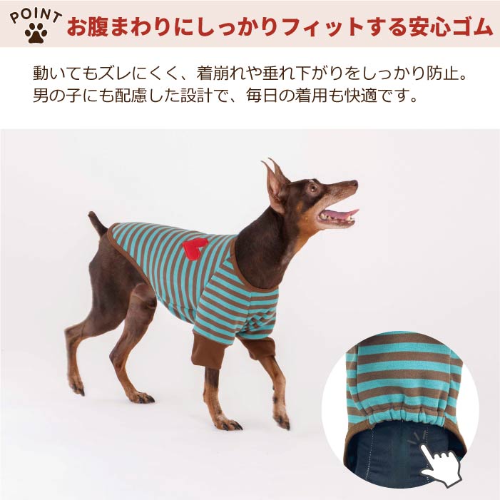 【スタイプレゼント対象商品】小型～中型 ダックス 胴長 [全18size展開]<br>ストレッチボーダーロンT - VERY-PET