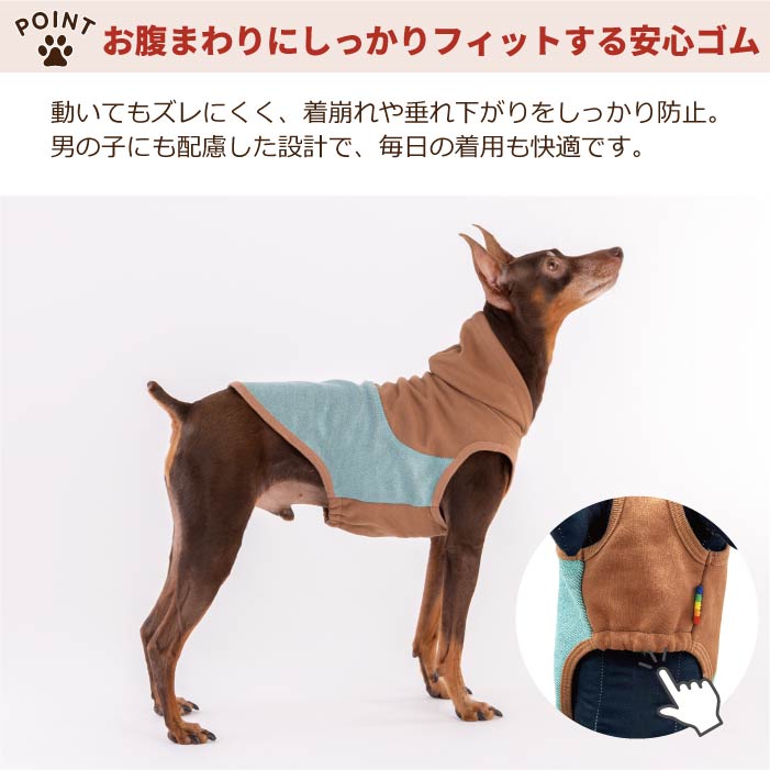 【スタイプレゼント対象商品】小型～超大型 ダックス 胴長 [全29size展開]<br>カラースキームタンク　※一部サイズは定価の20%OFF - VERY-PET