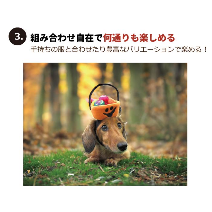 <font color="red">50％OFFセール</font><br>ハロウィン コスチューム 帽子　小型犬用