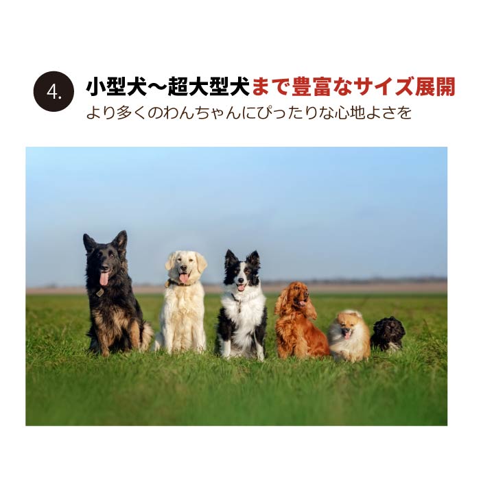 Web限定ハートプリントTシャツ 超大型犬 - VERY-PET