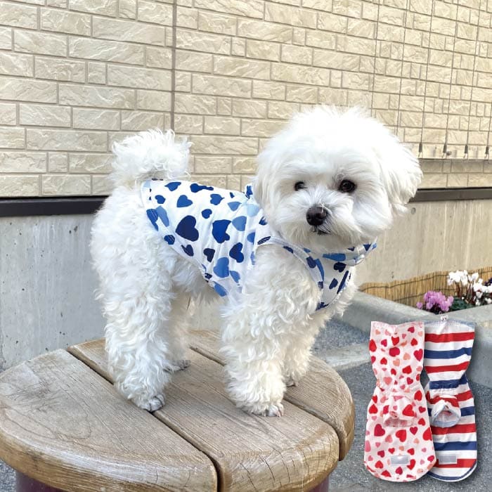 ストレッチレインコート 小型犬・胴長・ダックス - VERY-PET