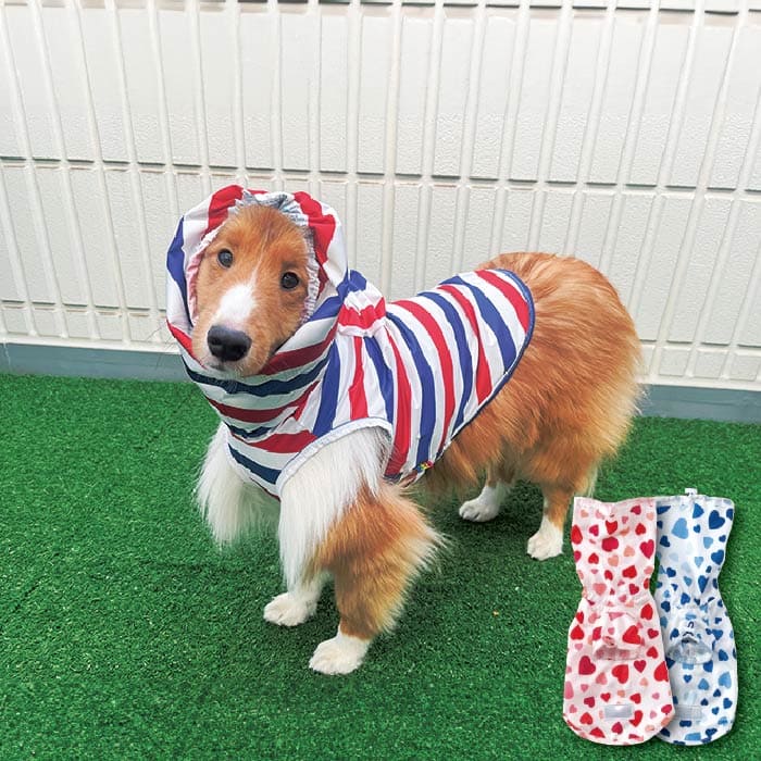中型犬【8.5kg～20kg】 – VERY-PET