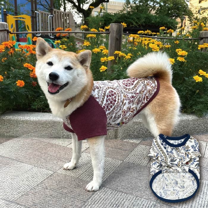 Web限定ペイズリープリントTシャツ 小型犬・胴長・ダックス - VERY-PET