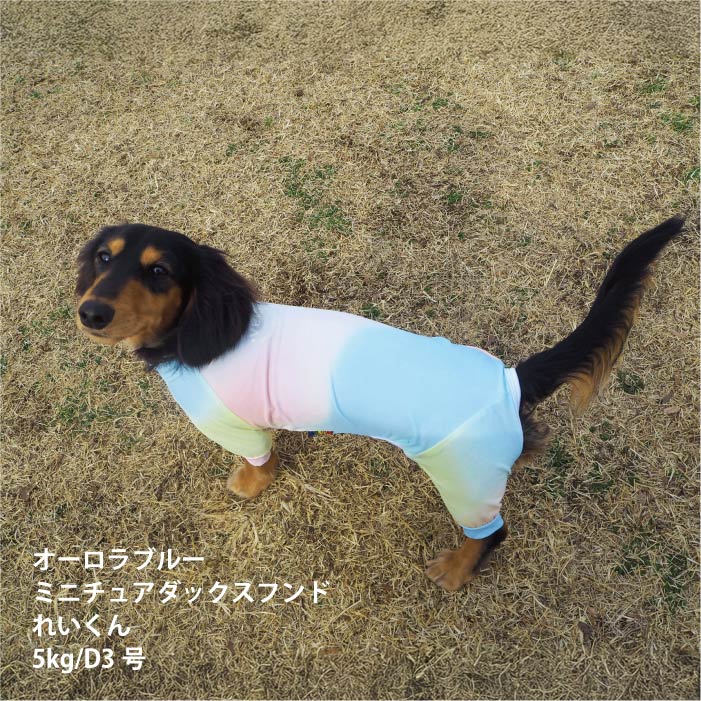 <font size="2">小型～超大型 ダックス 胴長 [全33size展開]</font><br>リラックスクールロンパース オーロラブルー - VERY-PET