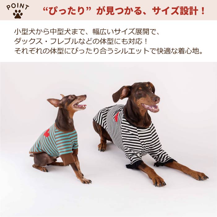 【スタイプレゼント対象商品】小型～中型 ダックス 胴長 [全18size展開]<br>ストレッチボーダーロンT