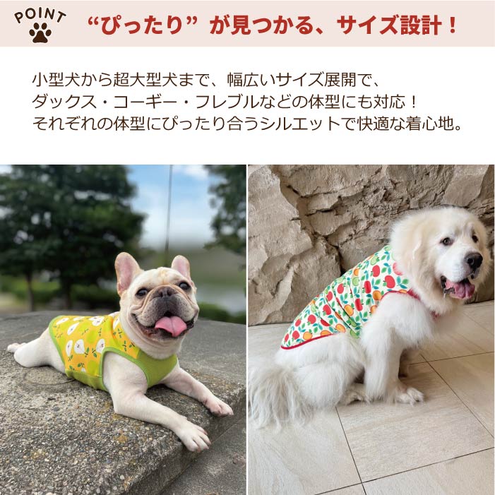 【スタイプレゼント対象商品】小型～大型 ダックス 胴長 [全29size展開]<br>裏起毛プリントタンク フルーツ/ラ・フランス　※8号・9号・10号・11号は定価の20%OFF - VERY-PET
