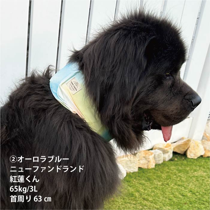 熱中症対策に！専用やわらか保冷剤付<br>保冷剤なしでもヒンヤリ！プリントCOOLバンダナ - VERY-PET