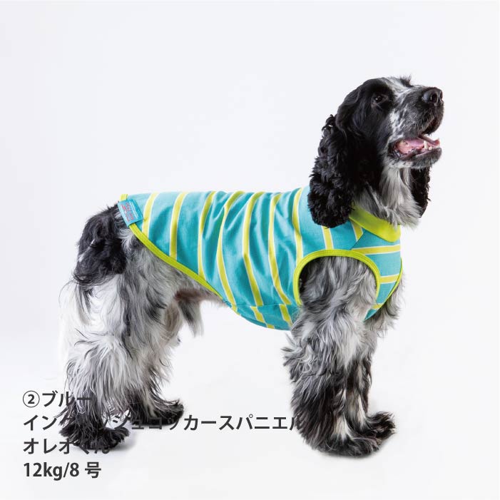 <font size="2">小型～超大型 ダックス 胴長 [全26size展開]</font><br>コットンボーダータンクトップ - VERY-PET